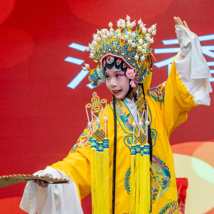 プログラムのパフォーマンス